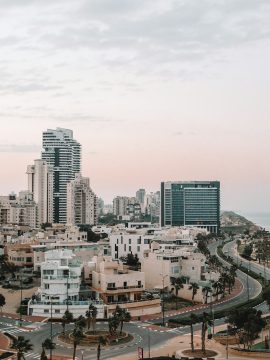 מאיר דוידי: פינוי בינוי בישראל, המדריך המקצועי לדיירים ומשקיעים