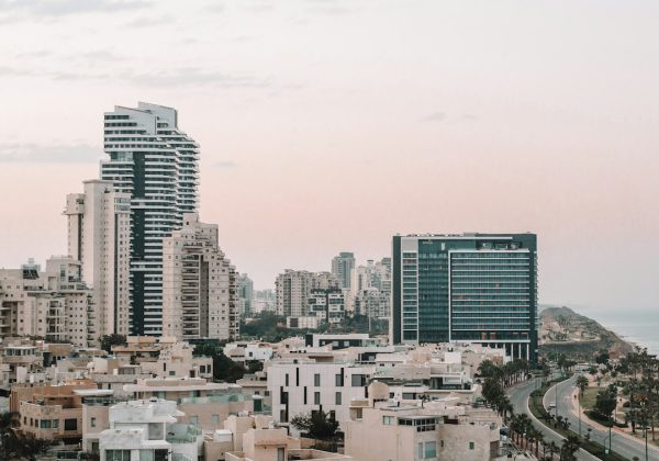 מאיר דוידי: פינוי בינוי בישראל, המדריך המקצועי לדיירים ומשקיעים
